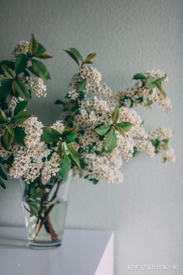 花瓶和花如何搭配 这些技巧你要知道 知乎