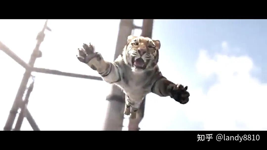 马丽,宋佳,老虎文文领衔主演,张海宇,谢锐韬主演的《阳光劫匪》剧照
