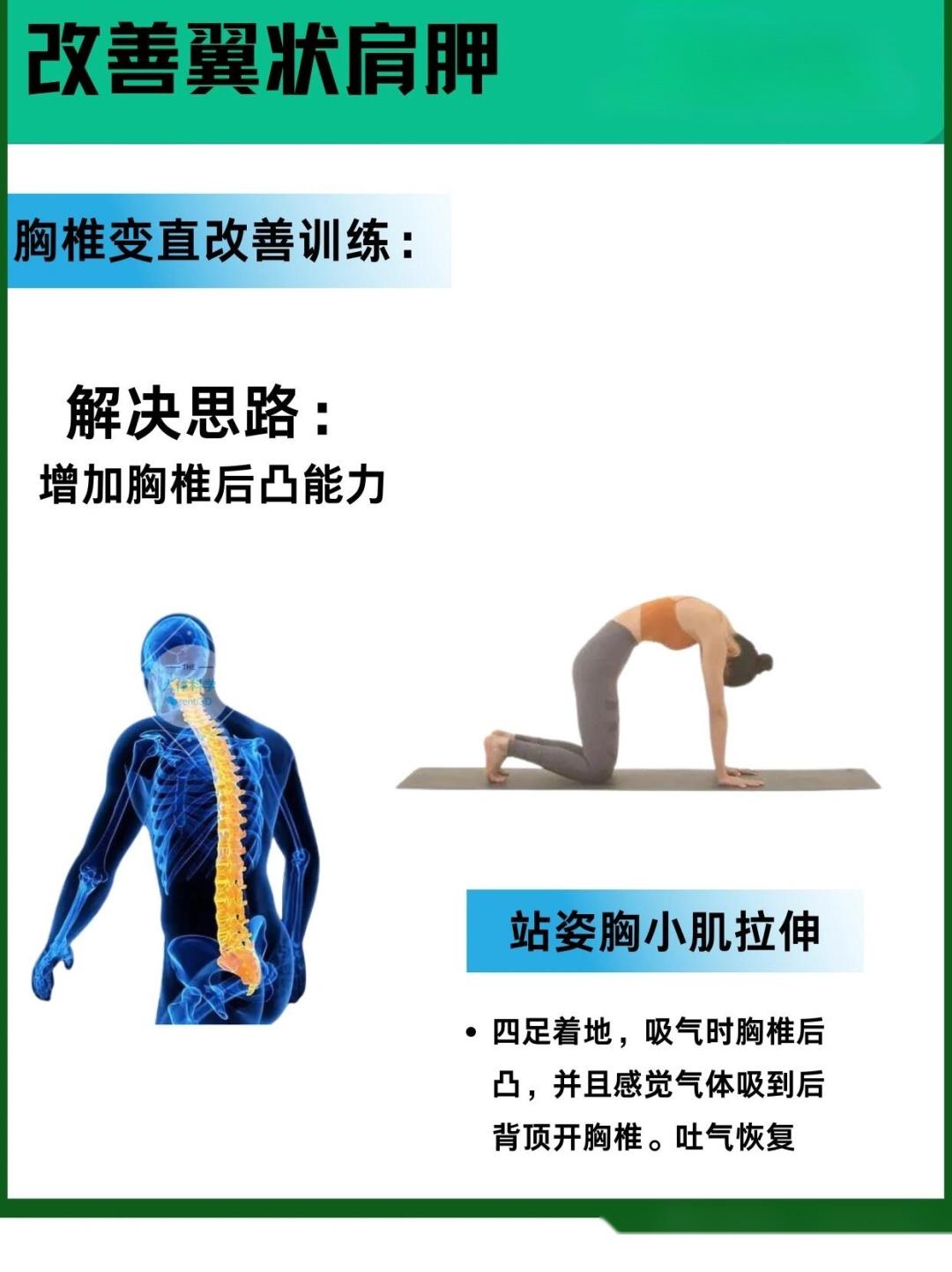 翼状肩胛改善蝴蝶背的原理思路和矫正方法