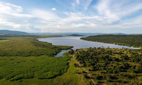 非洲动物一万元去卢旺达看大猩猩这场震慑人心的追猩体验太值得