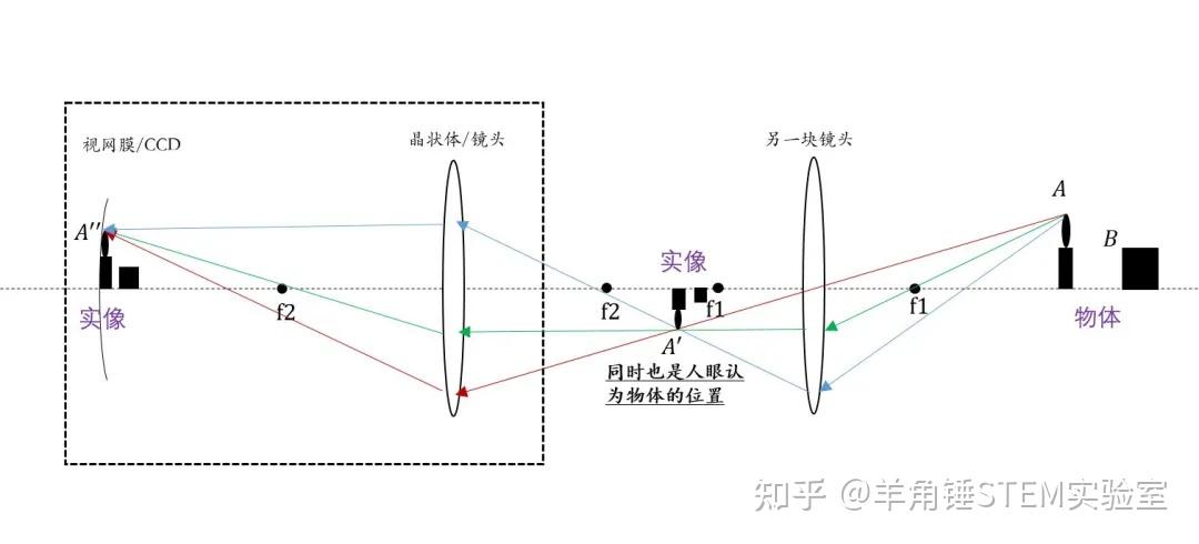 stem明星课:跳动的光影