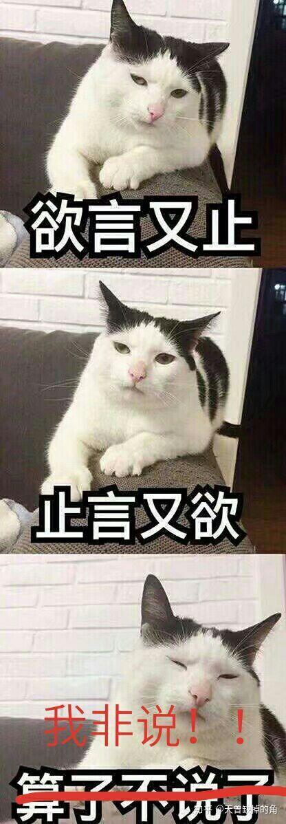都是凭本事单身的 本来就很扎心了 居然还质疑我们 人与人之间的信任