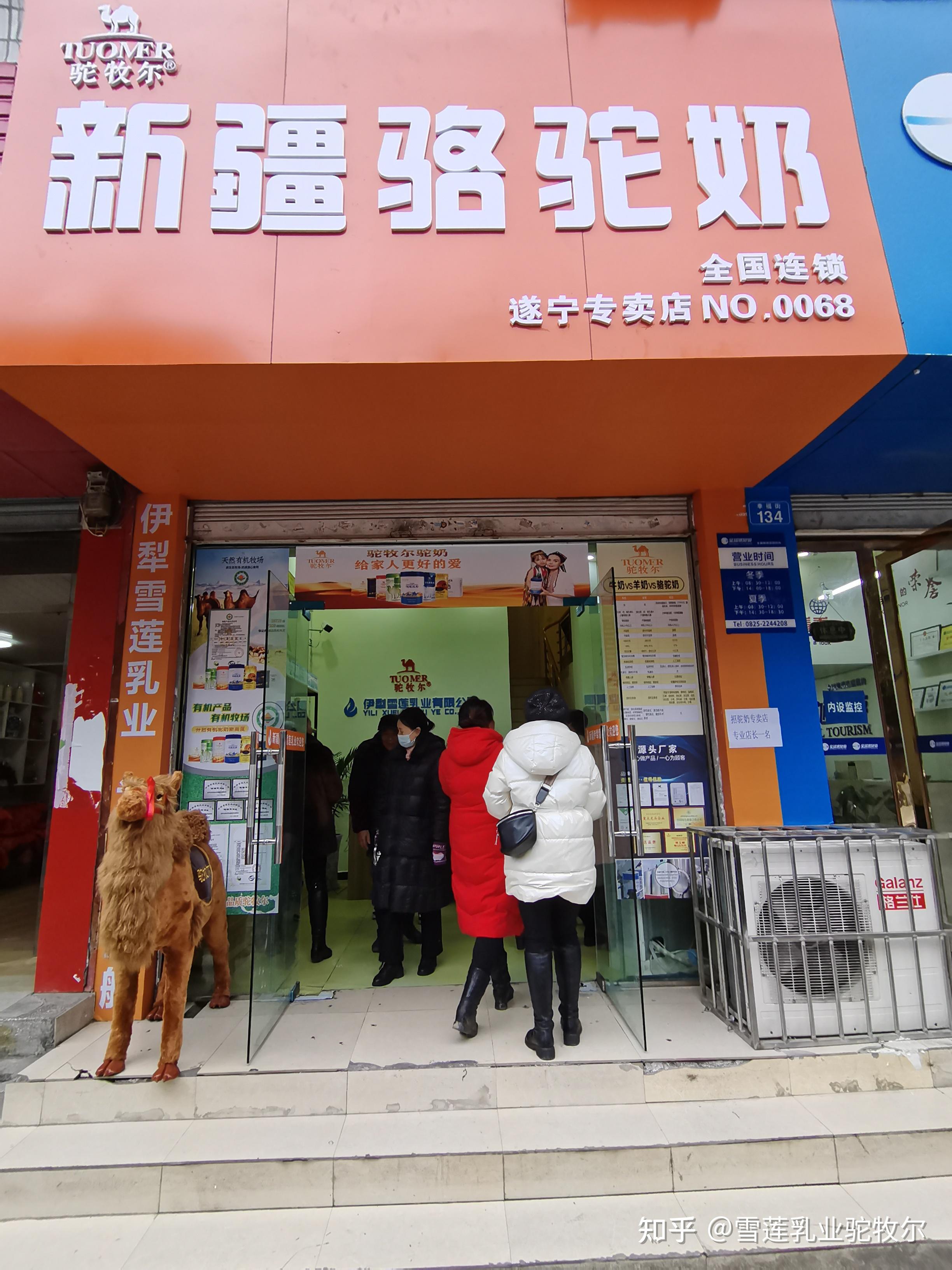 配方驼奶粉怎么冲调骆驼奶粉代理厂家伊犁雪莲乳业为你介绍