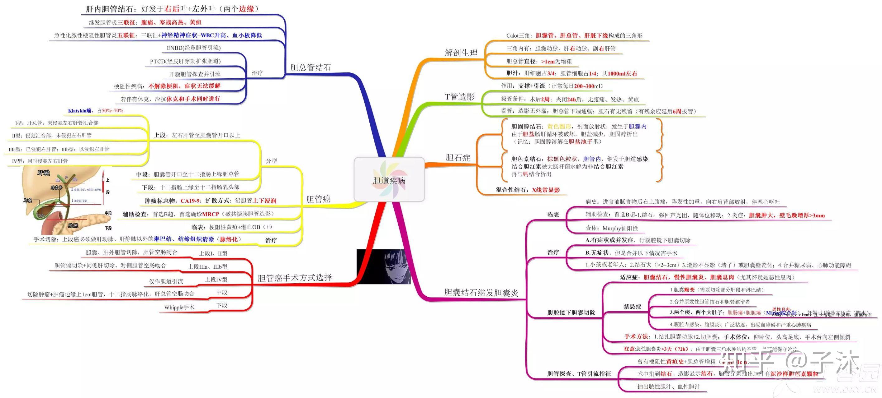 医学生必备:外科学思维导图 - 知乎