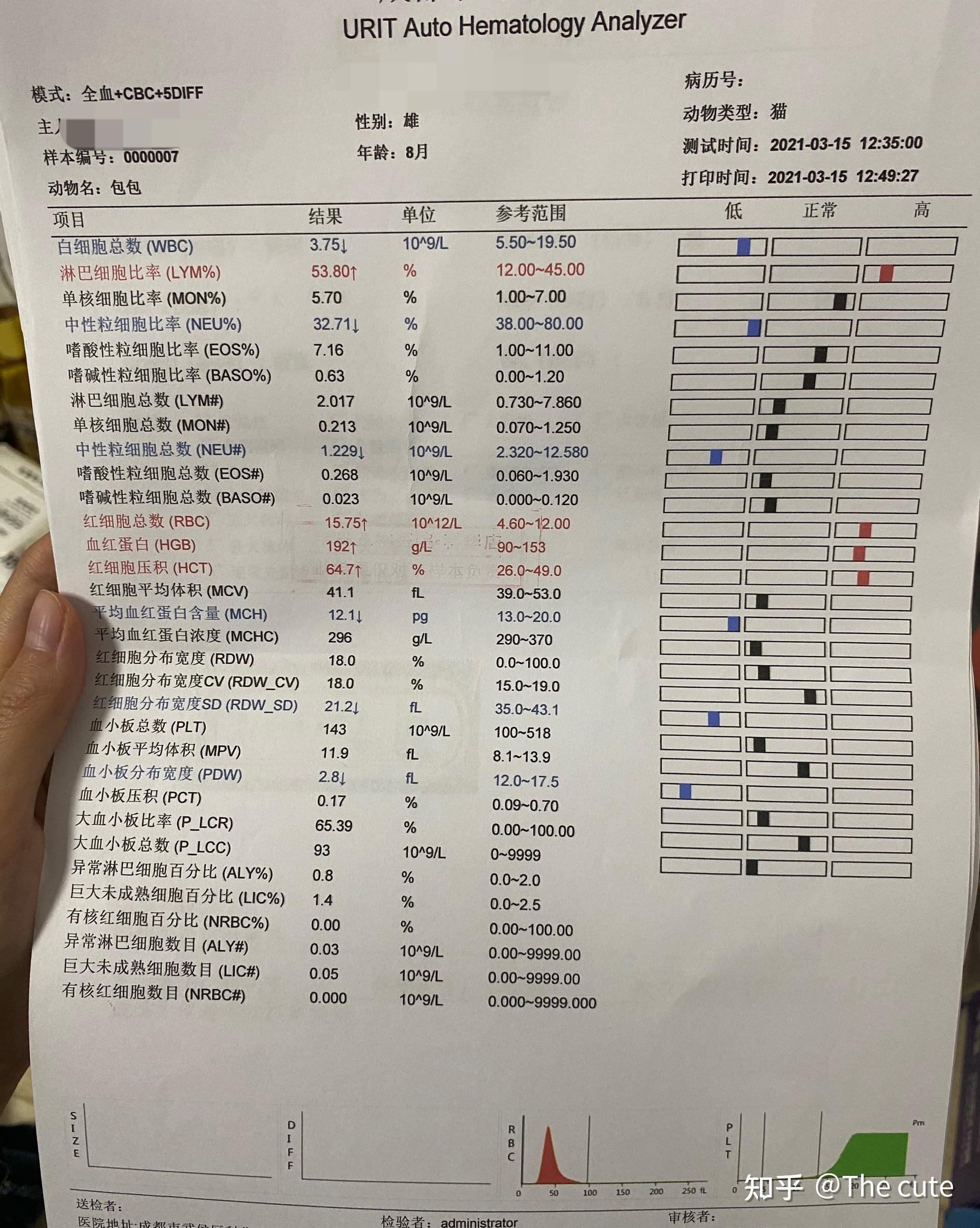 肠胃炎结果报告图片图片