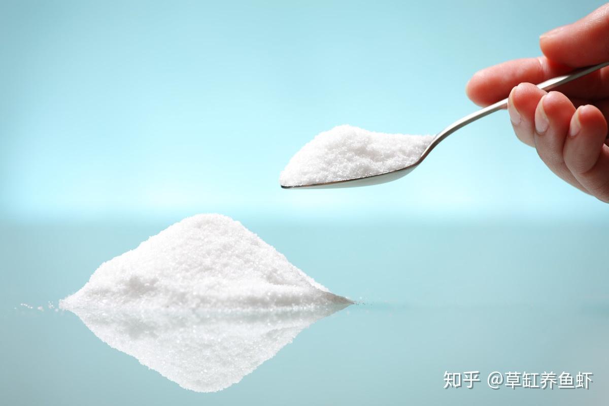 关于鱼缸放盐的“好”与“坏”,别放多了就行,其实没有什么好争论的 - 知乎