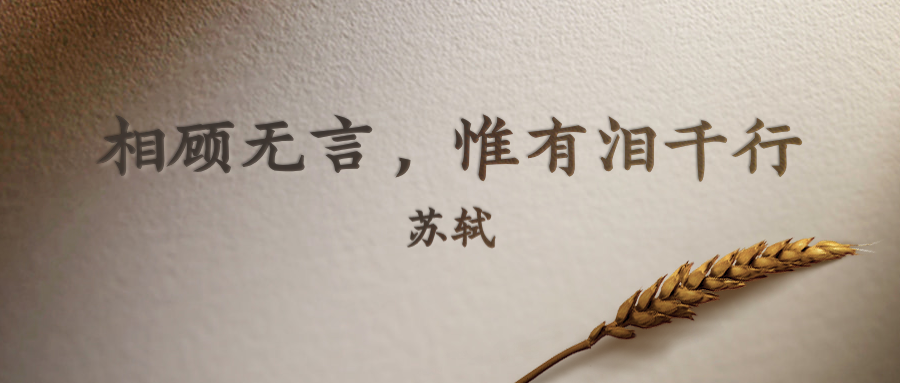 v2-3027d325e010b1dea747131aa6c2a11a_1200x500.jpg