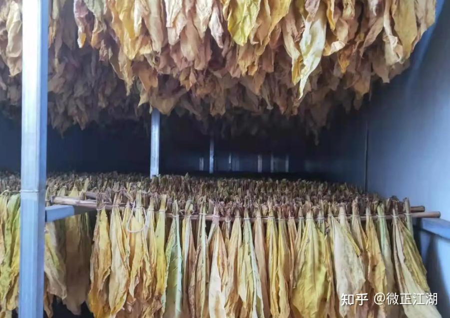 云南米数电气(昌润烤房设备厂家):梳式烟夹 助农增收 - 知乎
