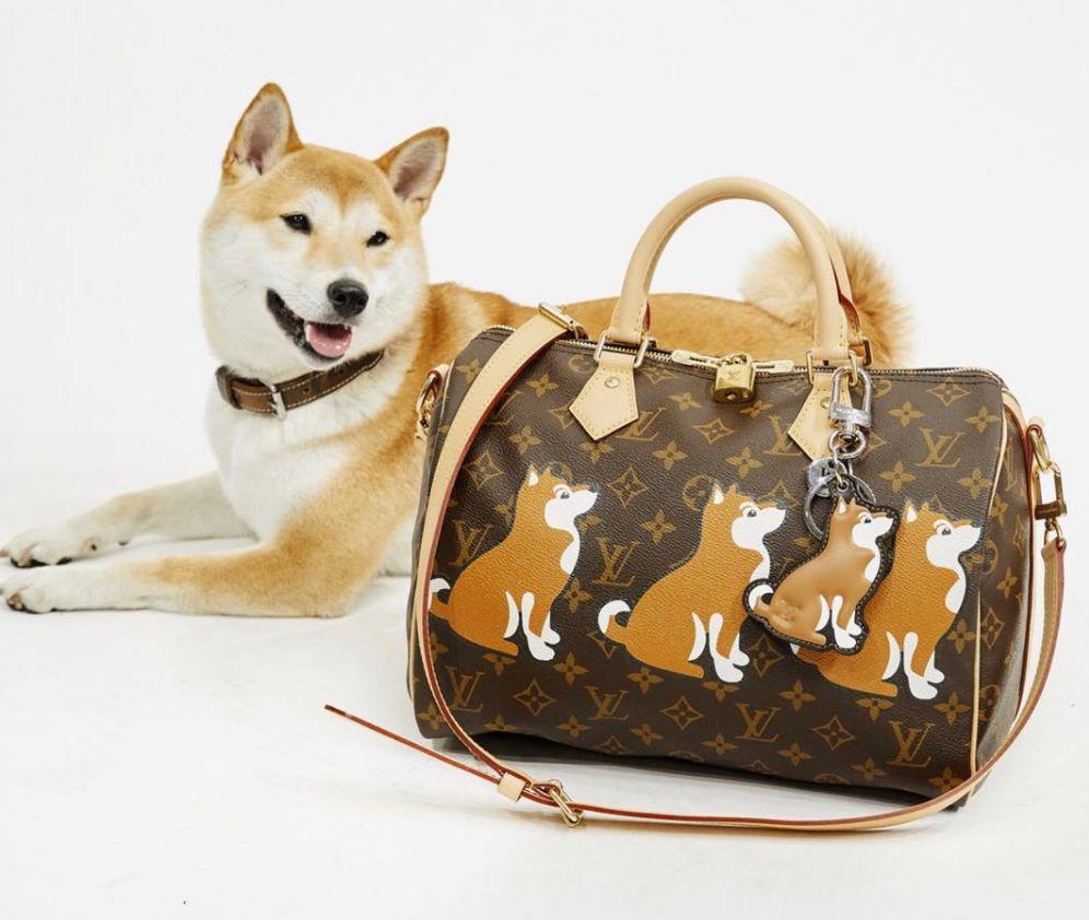 lv,dior,gucci…14家大牌出了狗年限定款,你们对狗有什么误解? - 知乎