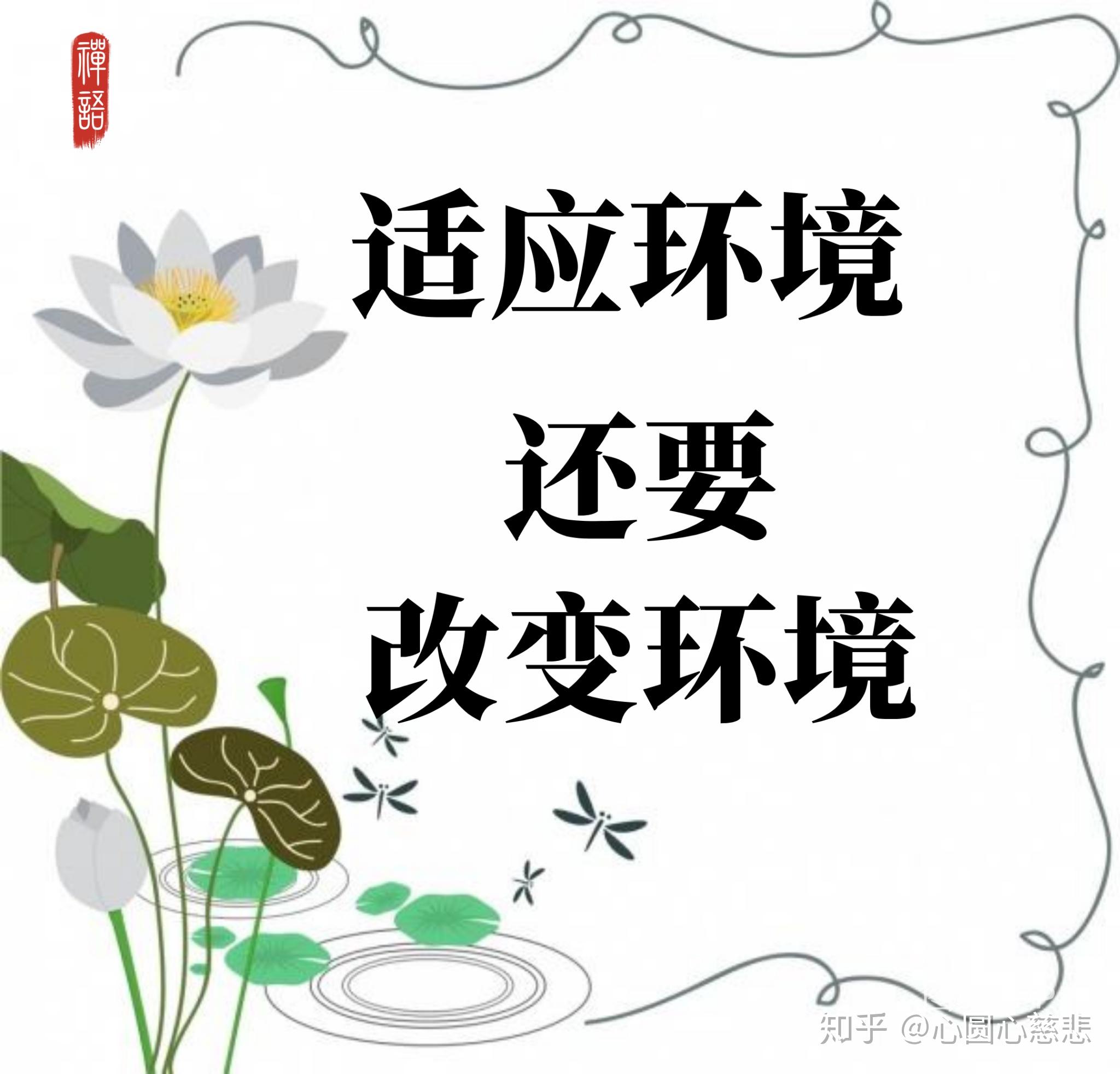 v2-307180d295c20748d46cbf5b412a474f_r.jpg