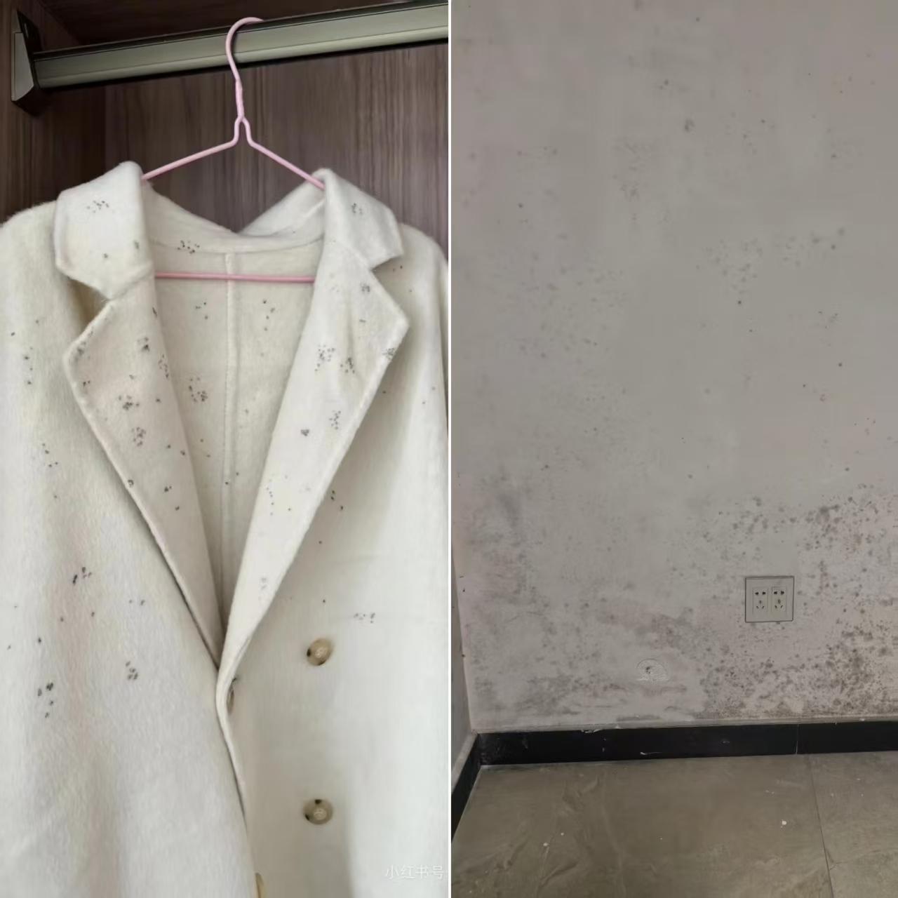 衣服晾不干、墙面返潮?聊聊我用夏普除湿机的真实体验