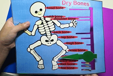 快乐英语启蒙 绘本精读 手工游戏 Dry Bones 知乎 快乐英语启蒙 绘本精读 手工游戏 Dry Bones 知乎