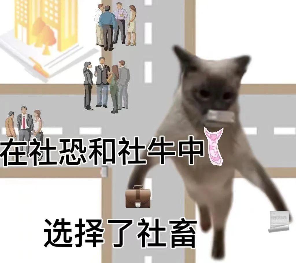 发疯发癫的表情包 - 知乎