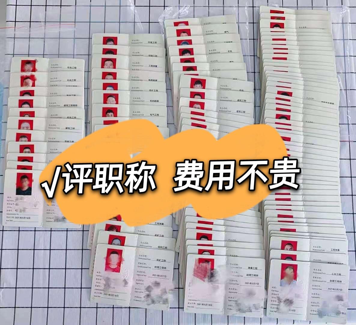 初级职称查询_初级职称查询不到_初级职称查询系统官方网站