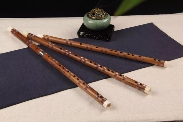 于千万【竹】之中的遇见,唯有你吐气如兰(最细致、完整的笛子竹材分析) - 知乎