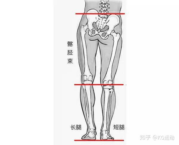 骨盆失稳身体已经倾斜了