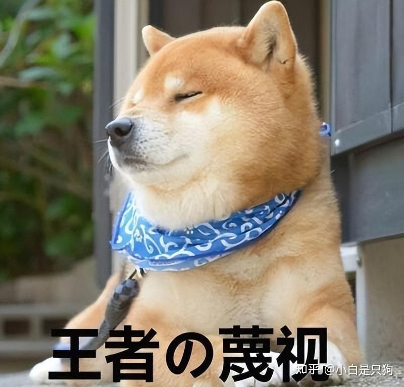 狗狗有这7个表现,说明是“聪明狗”,你家狗中几个? - 知乎