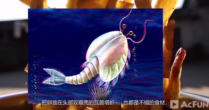 穿越到恐龙出现前的年代我们还能吃点儿啥