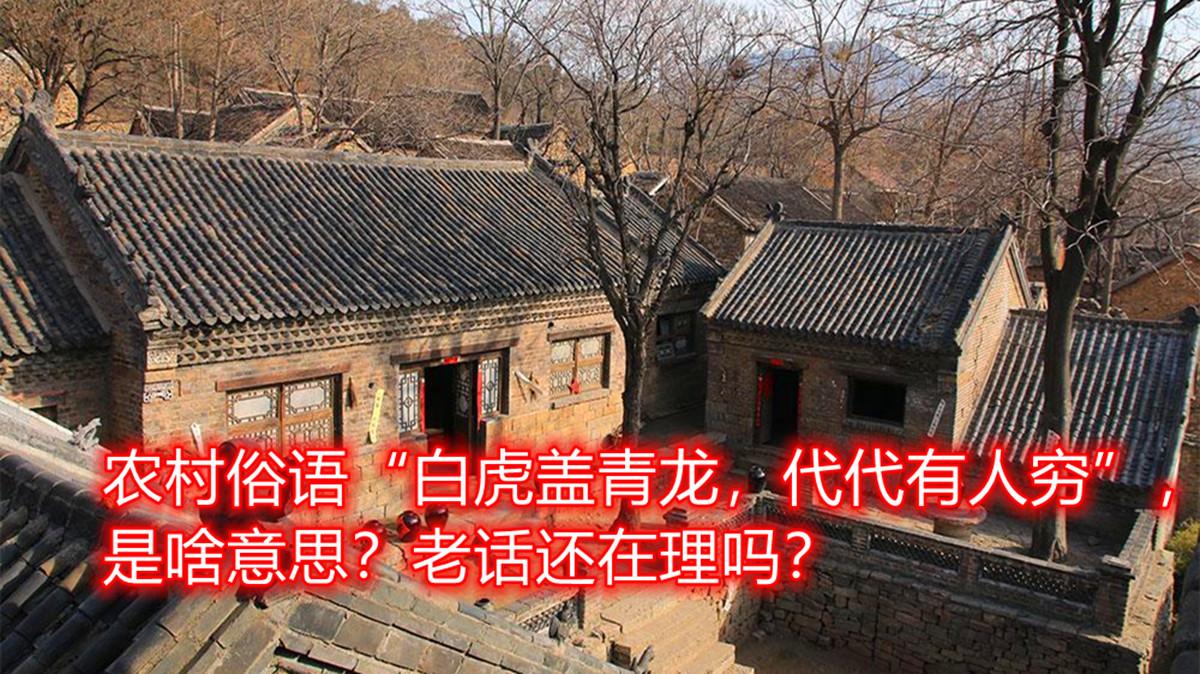 农村俗语白虎盖青龙代代有人穷是啥意思老话还在理吗