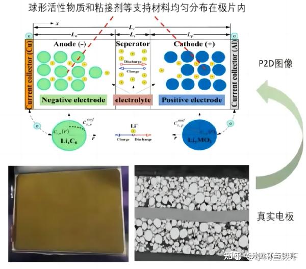 COMSOL锂电池仿真入门干货二纽曼模型 知乎