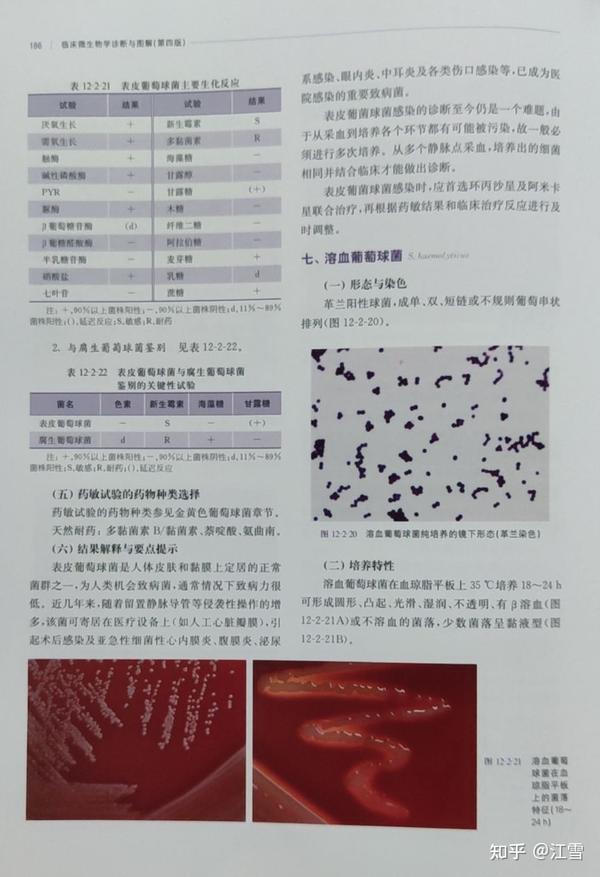 临床微生物学诊断与图解（第四版）上册 临床细菌学167至202页 知乎 2420