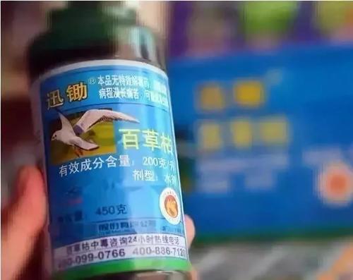 那些喝下百草枯的人 他们后悔过吗 中毒死亡的过程堪称活埋 知乎 那些喝下百草枯的人 他们后悔过吗 中毒死亡的过程堪称活埋 知乎