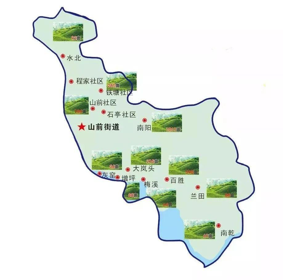 福建之茶丨福鼎白茶茶园分布图