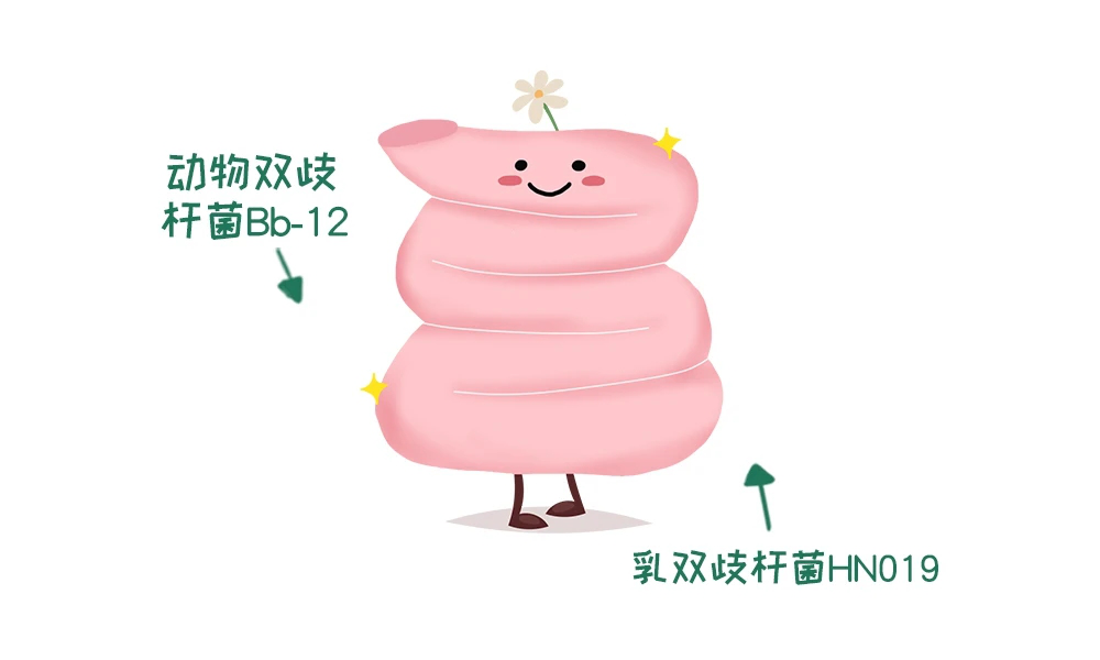 "黄金营养素"乳铁蛋白,激活自护力除了两种益生菌"强强联合"外,太子乐