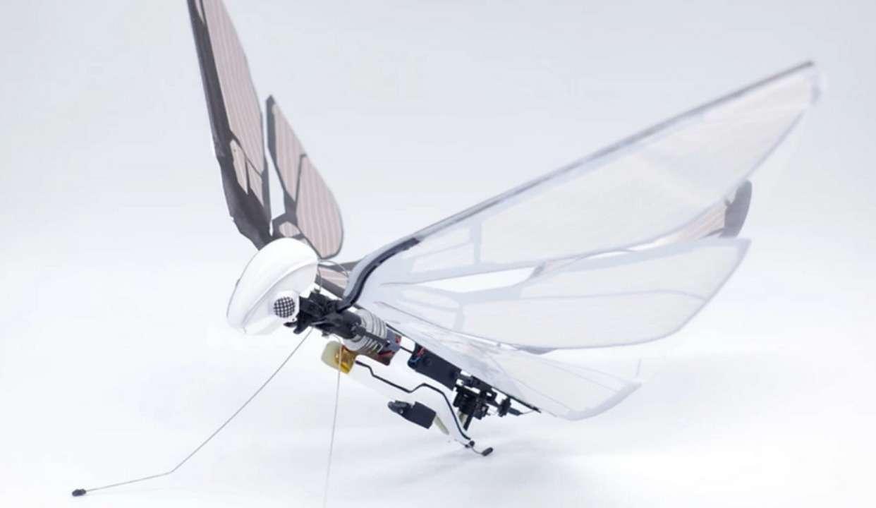 忘掉无人机!机械仿生鸟来了 - 知乎