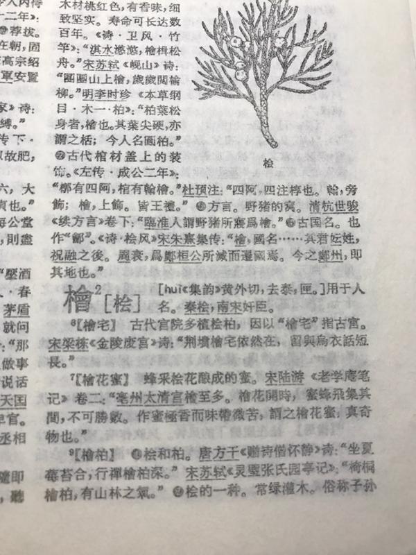 锐萌萌爱提莫酱 12 人 赞同了该回答@赵立正的回答提到了桧(桧)这个