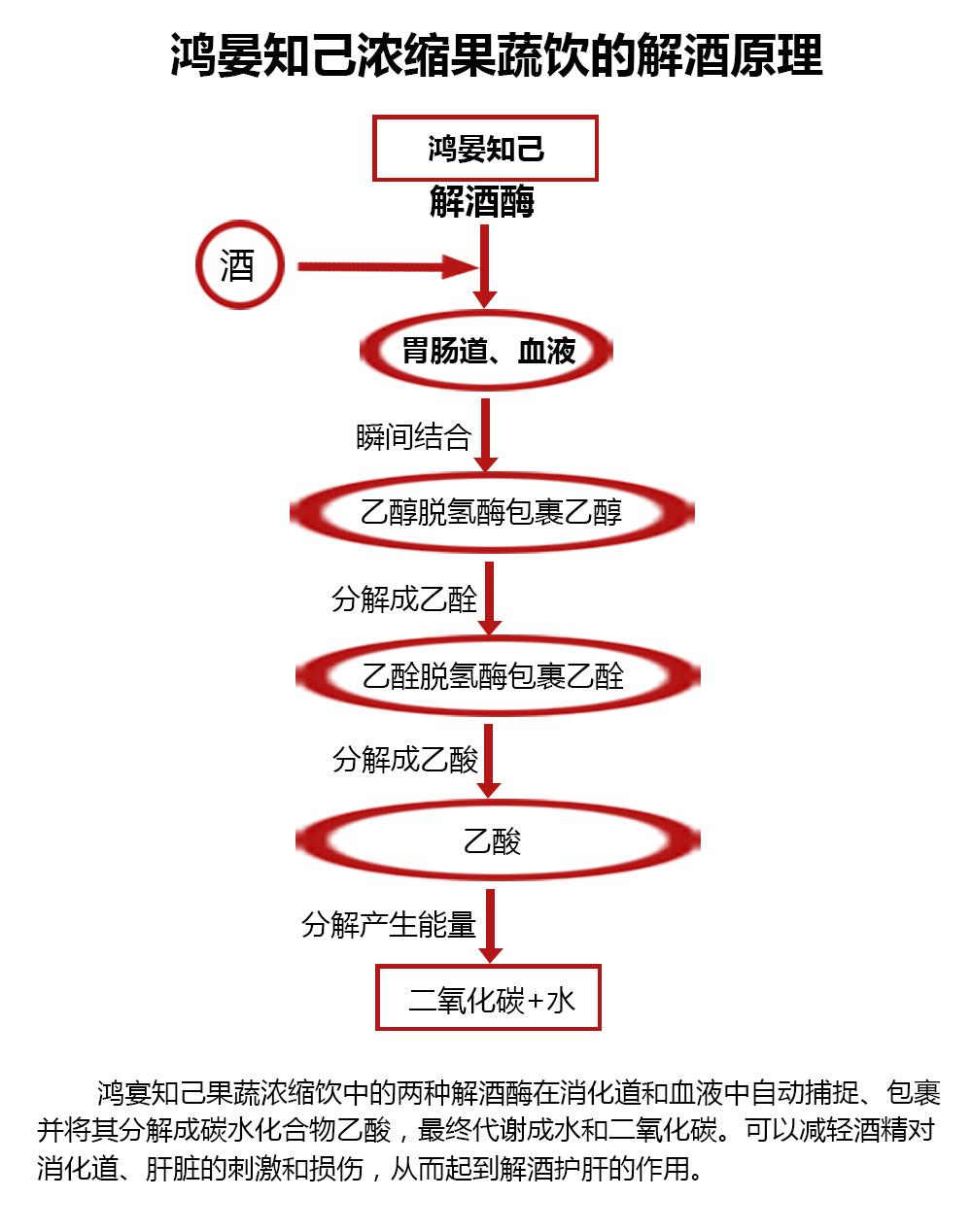 如何快速解酒？