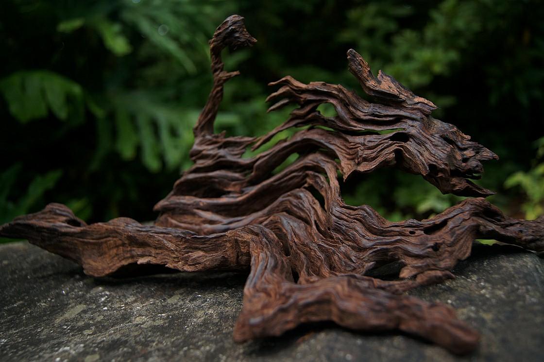 可鱼缸造景可桌面摆件沉木独特的美访古寻幽的原木情怀