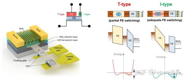 南大王欣然与清华吴华强团队合作发Nature子刊，二维存算一体器件实现AI训练-推理一体化 - 知乎