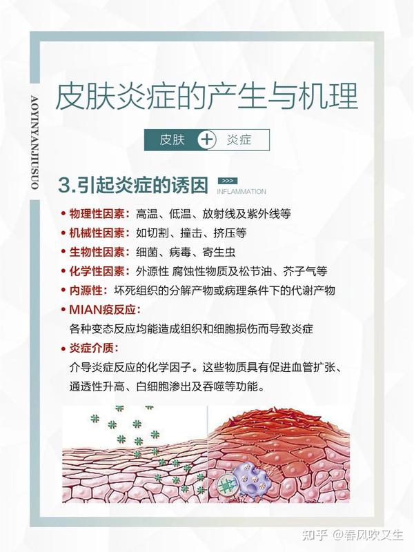 皮肤炎症的产生与肌理,你get了吗。 - 知乎