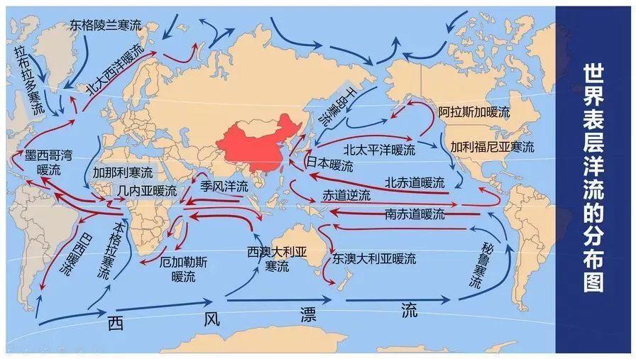 2016年在美国和加拿大海域的三文鱼身上已经检测出放射性物质铯134