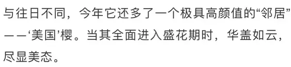 上海植物园21赏樱攻略 知乎