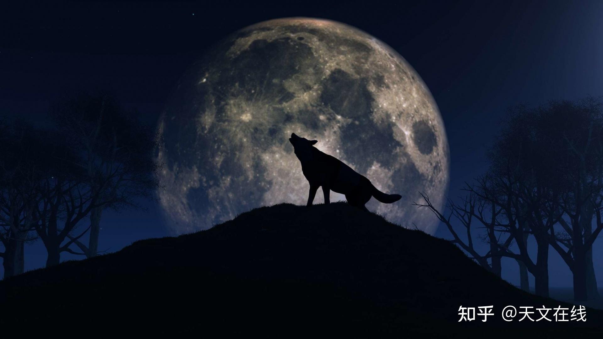 定好闹钟,1月下旬的晚上,来看狼月吧 - 知乎