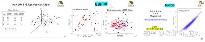 【案例实践】r语言生物群落（生态）数据统计分析与绘图 知乎