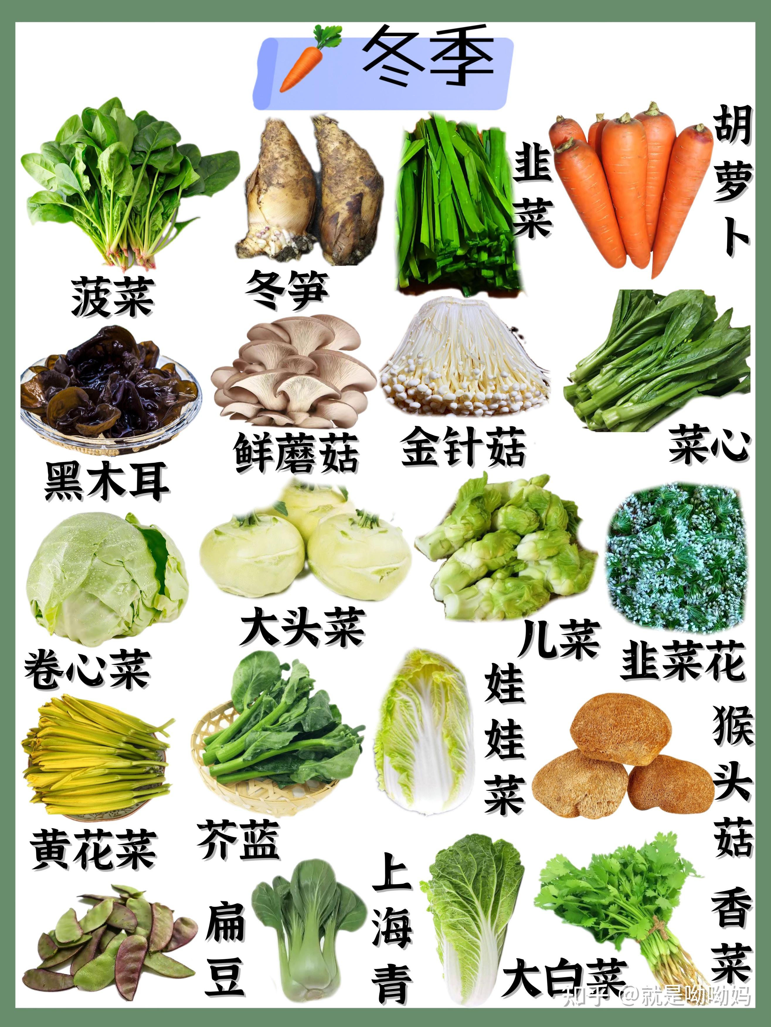 应季蔬菜时令表🥦🍅🧅每天都可以吃到新鲜🥬 - 知乎