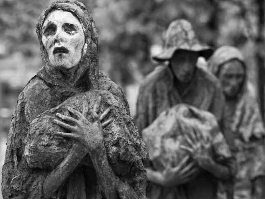 牛年里印度微型牛濒临灭绝