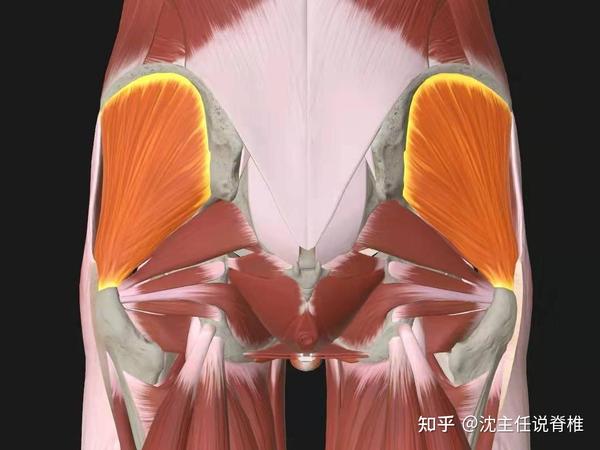 理查德马克思