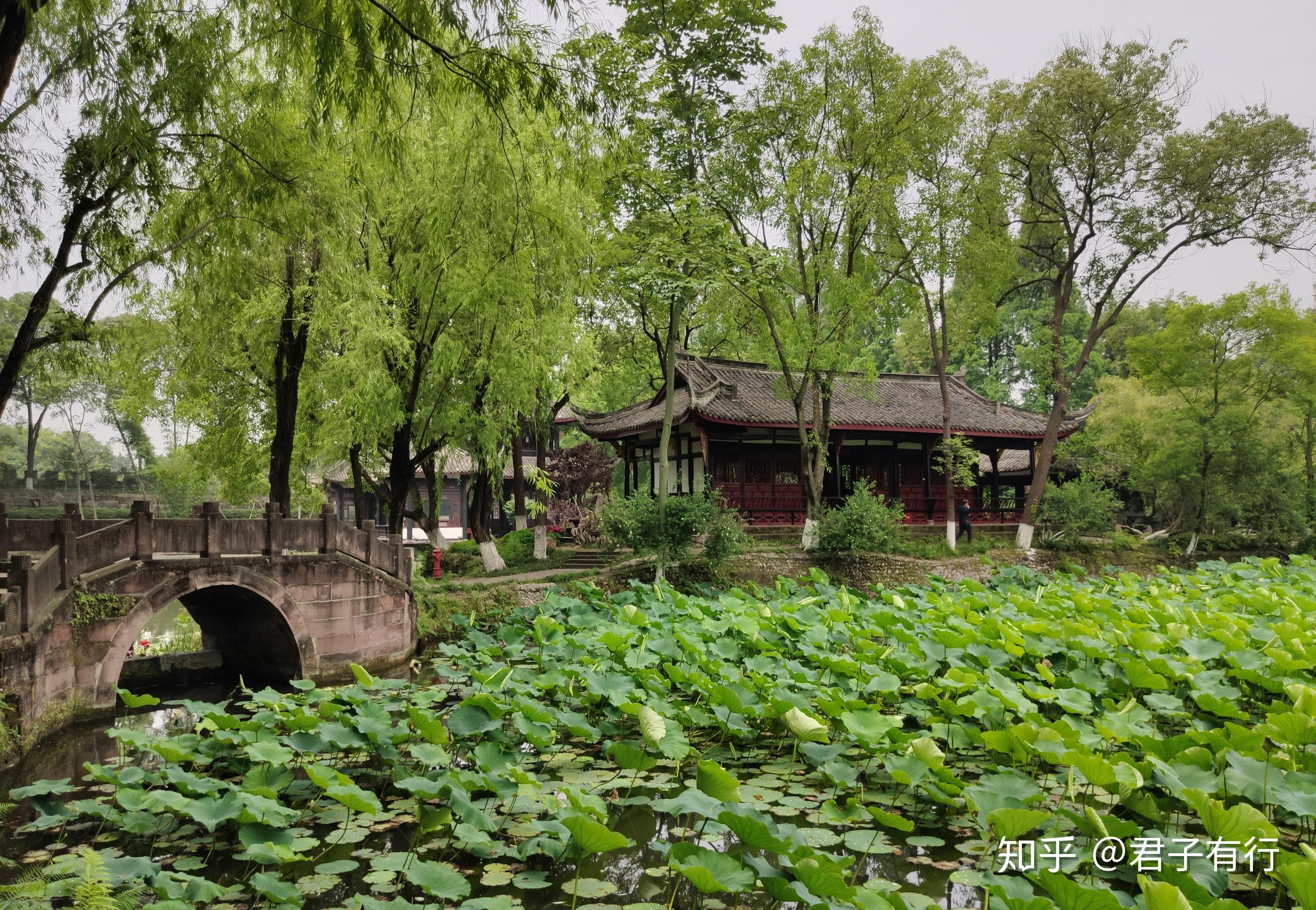 全国八大最佳荷花观赏胜地之一，历史悠久的新都桂湖美翻了整个成都_来源
