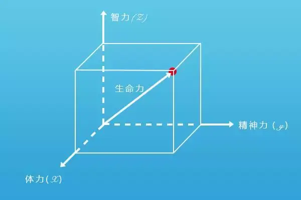 生命力的维度和生命的高度