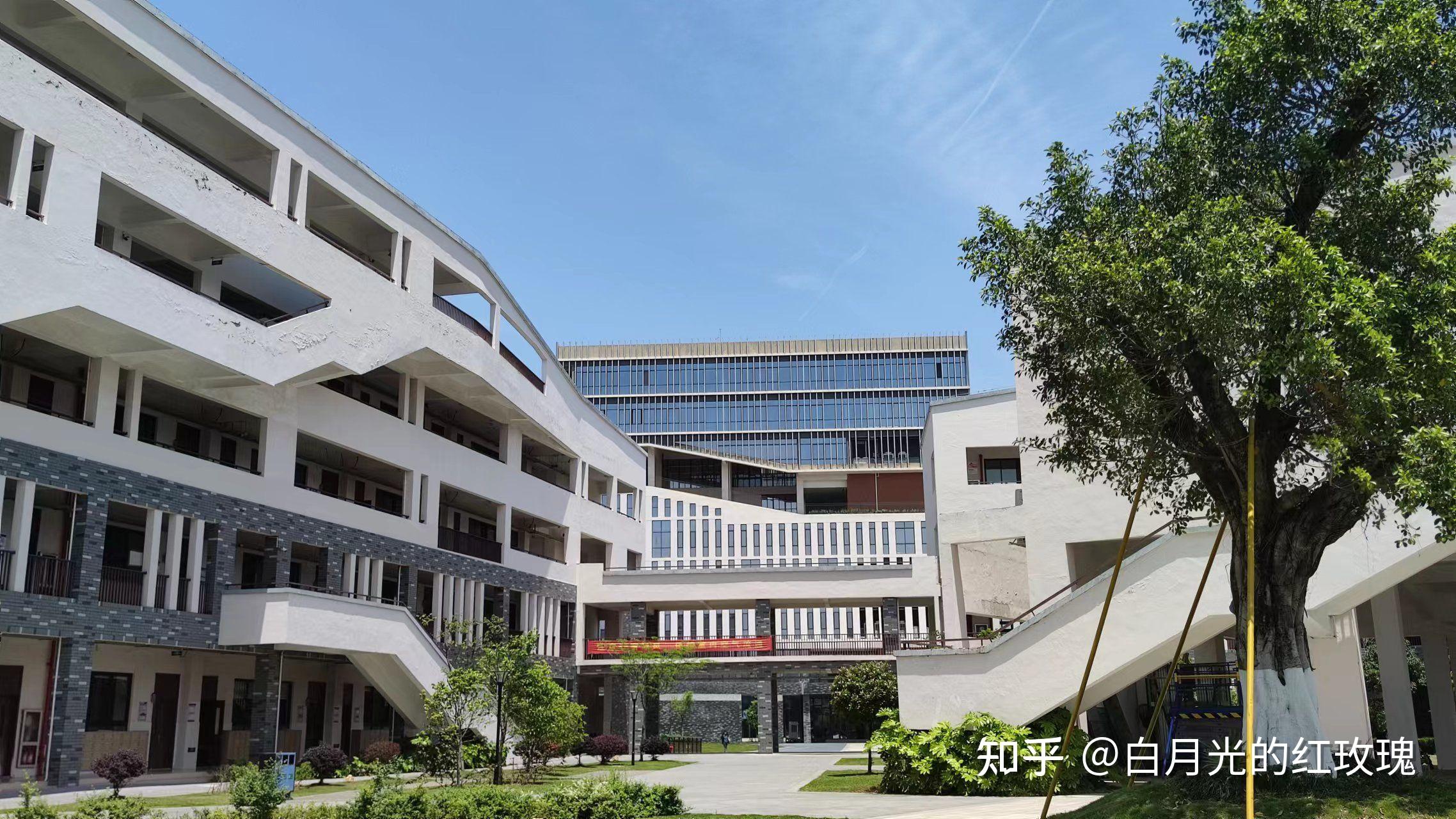 温州理工学院学院图片