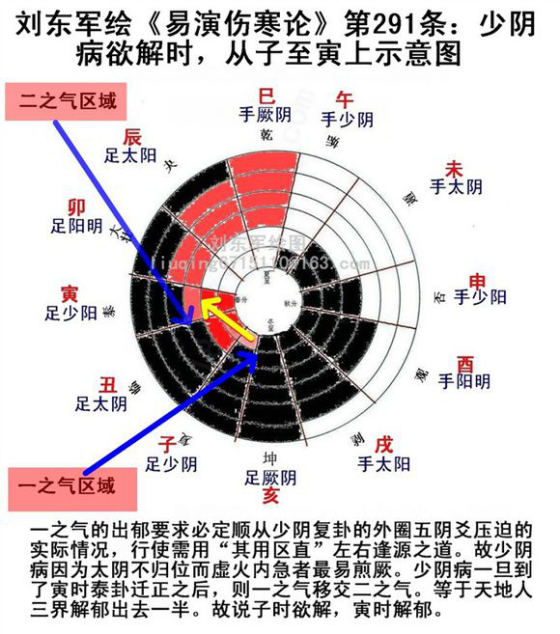 怎样看待易演伤寒论这本书