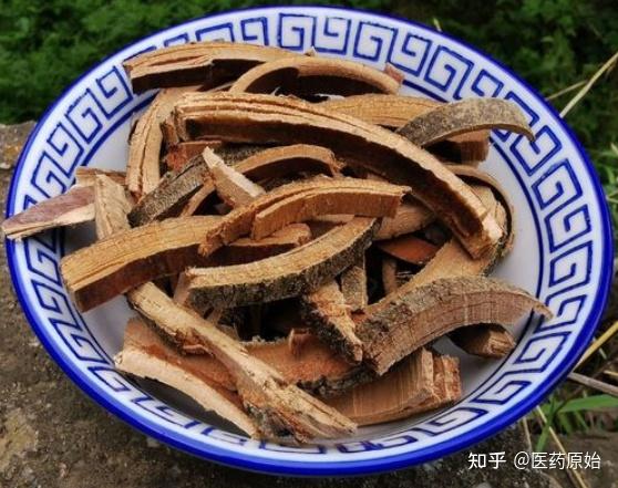带你识别秦皮 - 知乎