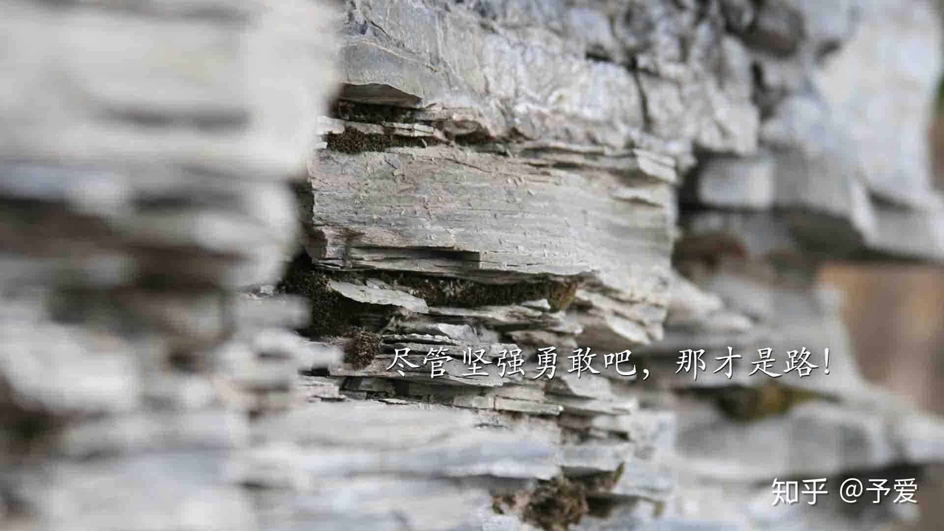 如何直面惨淡的人生