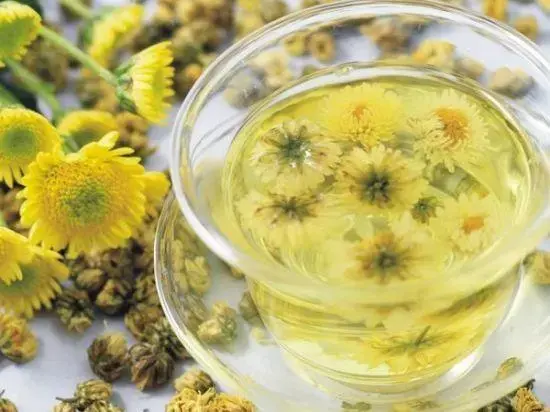 在花初开时采摘的野菊花,气芳香,味苦,清热解毒的作用最佳.