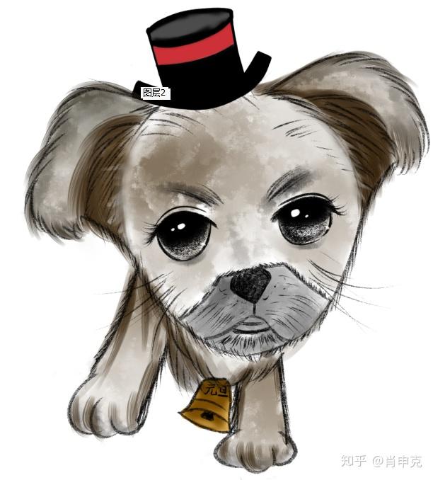 有点小帅,虽然你是母狗…… - 知乎