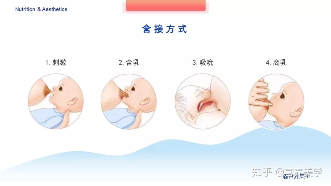 2岁女宝正常乳房图片